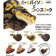 (Gashapon) Ball Python & Corn Snake Ver.1 (6 types in total)